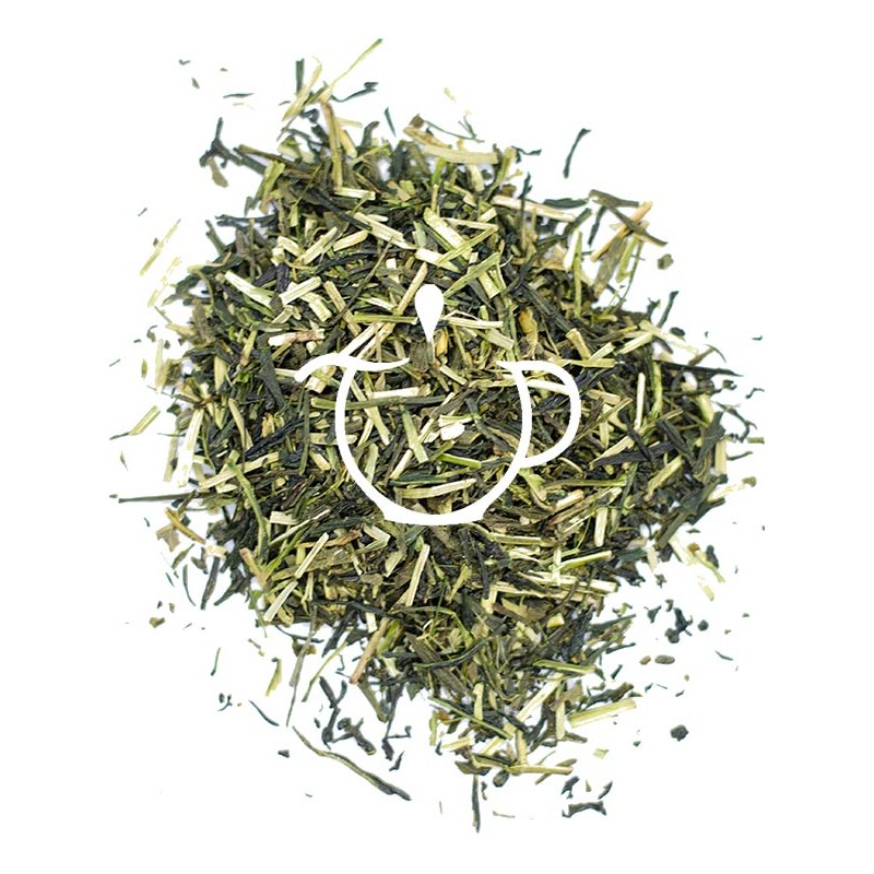 Tout savoir sur le thé sencha et ses bienfaits - Panda Tea